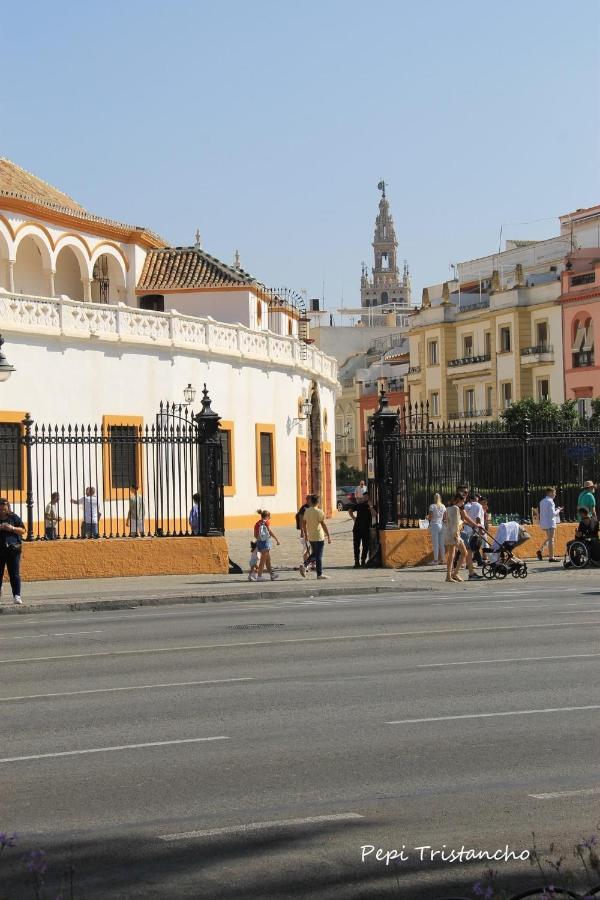 Suites Las Setas & Bicicletas Electricas Gratis Seville Exterior photo